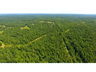 Property photo 18 - LAND AUCTION - 1,682+/- ACRES OFFERED IN 17 TRACTS IN LEWIS & GREENUP COUNTIES, KENTUCKY